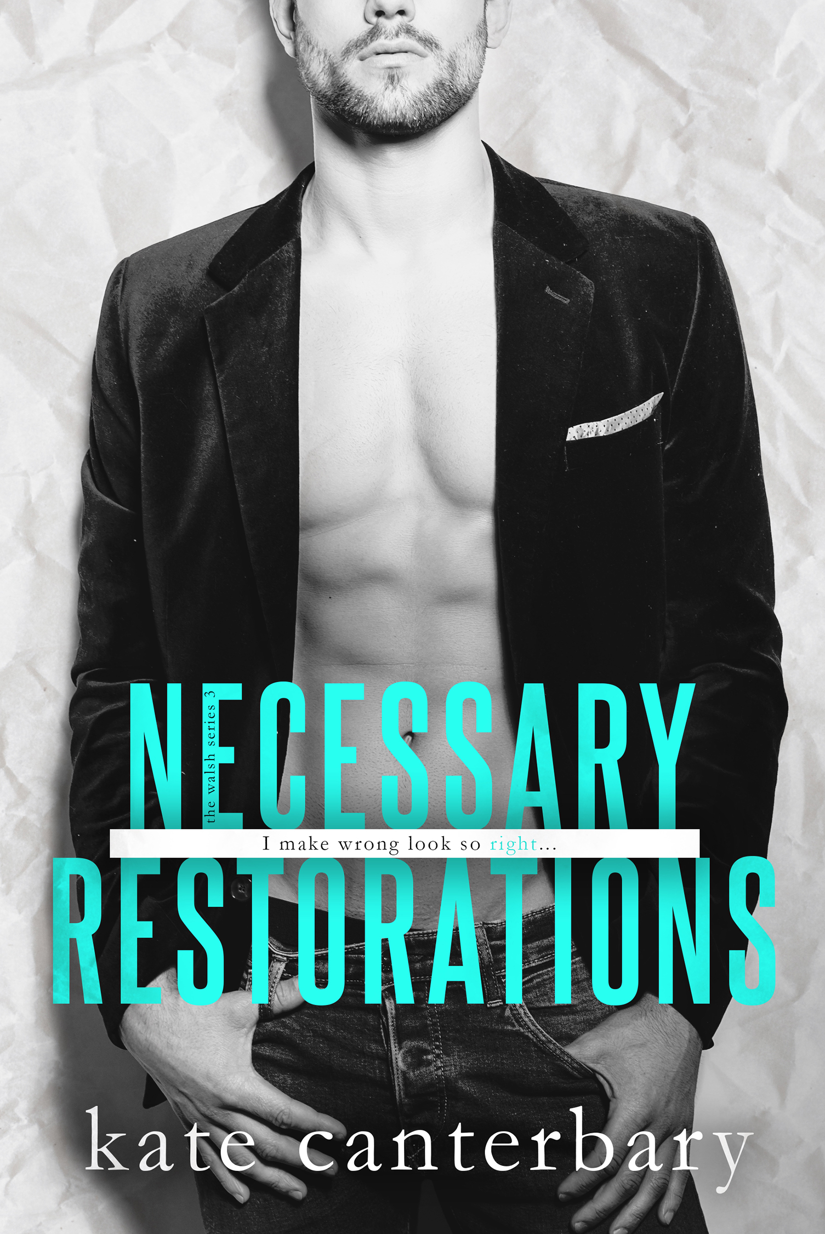 Read more about the article NECESSARY RESTORATIONS by Kate Canterbary
